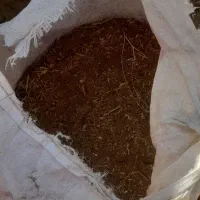 کود گوسفندی