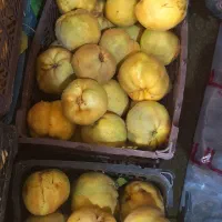 فروش به باکیفیت وارگانیک|خوردنی و آشامیدنی|یاسوج, |دیوار