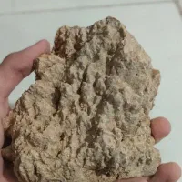 سنگ و صخره آکواریوم ، ماهی