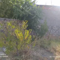 فروش ویلا باغ دلفارد|فروش خانه و ویلا|درب بهشت, |دیوار