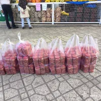 ترشی آب گوجه ، ترشی لیته بادمجان شکم پر ترشی شوری