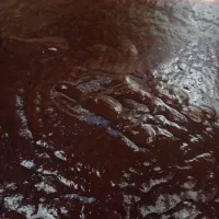 رب انار تازه
