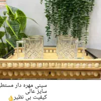 ظروف پذیرایی