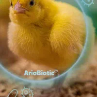 استخدام منشی داروخانه دامپزشکی چناران