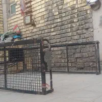 سلام.اتاق ماشین