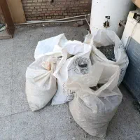 کود کفتری