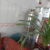 لوازم اغذیه