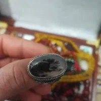 انگشتر شجر  رکاب طاووس استاد شیخی|جواهرات|اردبیل, |دیوار