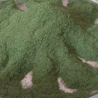 انواع سبزی خشک