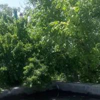 1000متر-باغ-ویلای-قدیمی-خوروین