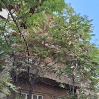 سنایی  ۳۳۰متر بنا با پارکینگ