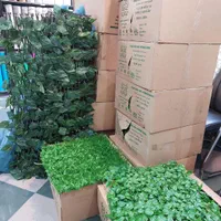 چمن مصنوعی، گرین وال، آکاردئونی، فنس برگی|گل مصنوعی|اردبیل, |دیوار