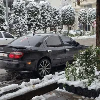 ماکسیما اتومات 2003