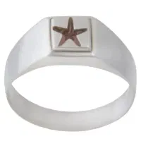 انگشتر نقره اصل