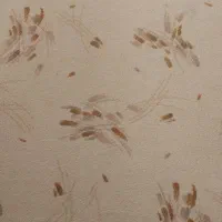 پالاز گچساران