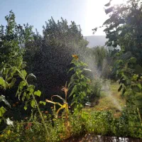 اجاره روزانه خانه باغ|اجارهٔ کوتاهمدت ویلا و باغ|ایلام, |دیوار