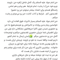 حرز امام جواد با محفظه نقره و بازوبند|بدلیجات|بندرعباس, |دیوار