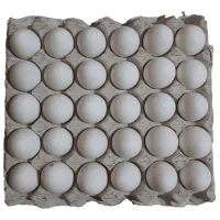 فروش تخم‌مرغ شانه ای(ارسال درب منزل رایگان)