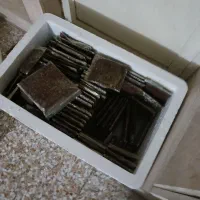 ارتمیا منجمد غذا ماهی|ماهی|اسلامشهر, شهرک واوان|دیوار