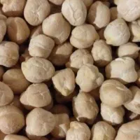 نخود درشت تازه