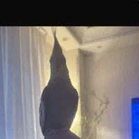 عروس هلندی گمشده