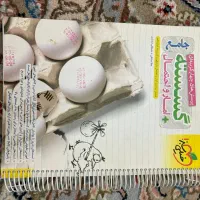 کتاب های کنکوری خیلی سبز و قلمچی عمومی وتخصصی|کتاب و مجله آموزشی|تهران, وحیدیه|دیوار