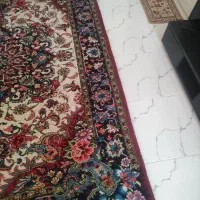 جفت فرش دستباف ۹ متری سالاری|فرش|اهر, |دیوار