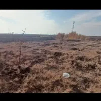 ۵۰۰ متر زمین سند تکبرگ