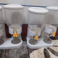 جاحبوباتی دوقلو