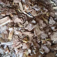 نان خشک واسه میش بره بز