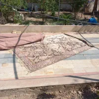 قالیچه