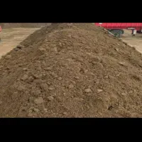 کود بار گاوی
