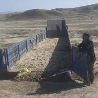 تریلی۱۳/۶۰ برای حمل گوسفند|خدمات حمل و نقل|شیروان (خراسان), |دیوار