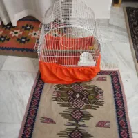 قفس مناسب عروس هلندی طوطی برزیلی مرغ میتا