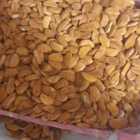 مغز‌بادام‌صادراتی‌ربیعی