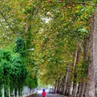 هشتگرد آپارتمان ۳ خوابه زیر قیمت منطقه