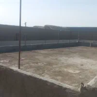 گاوداری-پرواری-300-راسی