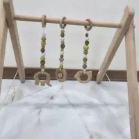 پلی جیم چوبی