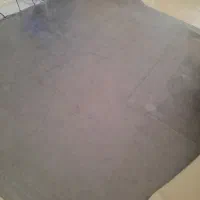 موکت پالاز