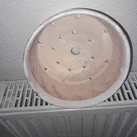 گلدان سفال|گل و گیاه طبیعی|شاهین‌شهر, شهرک گلدیس|دیوار