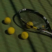 همبازی تنیس خاکی
