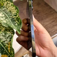 iphone 13pro max ایفون ۱۳ پرو مکس|موبایل|تهران, مشیریه|دیوار