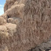 پوشال برای خربزه