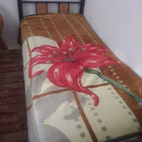 تعدای وسایل