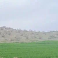 کارگر افغان