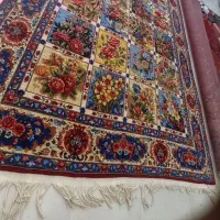 قالی دستبافت ۶ متری|فرش|شهرکرد, |دیوار