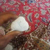 فروش تعدادی فسیل مرجانی چند صدساله|کلکسیون اشیاء عتیقه|محمدیه-قزوین, |دیوار