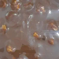 سمنو خانگی پر مغز با جوانه گندم|خوردنی و آشامیدنی|شیراز, شهرک ایثار|دیوار