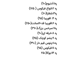 حراج گل گیاه طبیعی اپارتمانی|گل و گیاه طبیعی|یزد, |دیوار