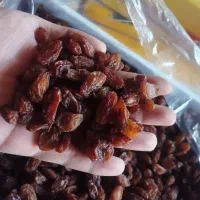 کشمش آفتابی